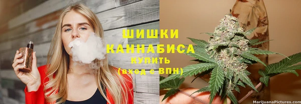 spice Каменка