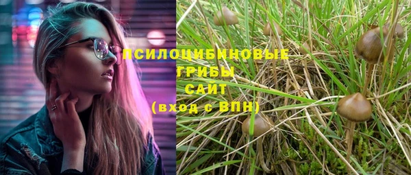 стаф Каменск-Шахтинский