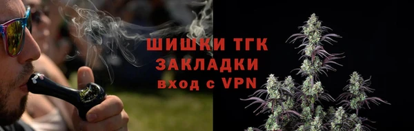 стаф Каменск-Шахтинский