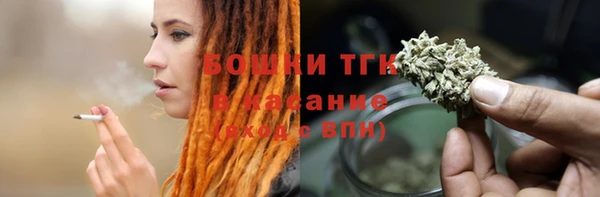 spice Каменка