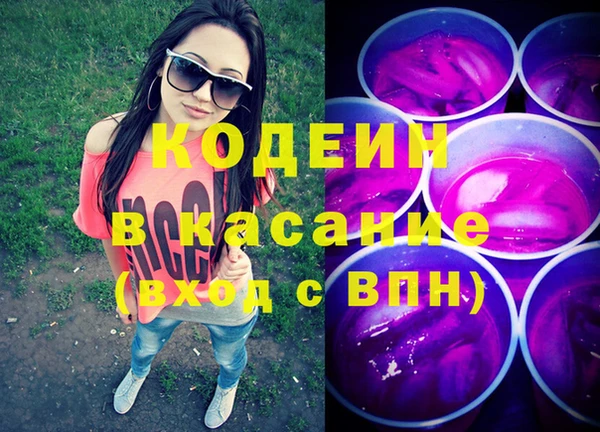 стаф Каменск-Шахтинский