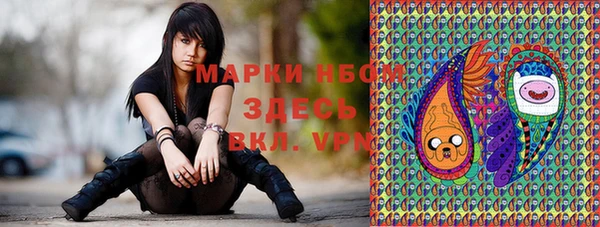 spice Каменка