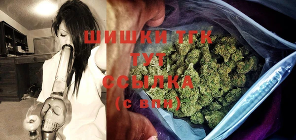 стаф Каменск-Шахтинский
