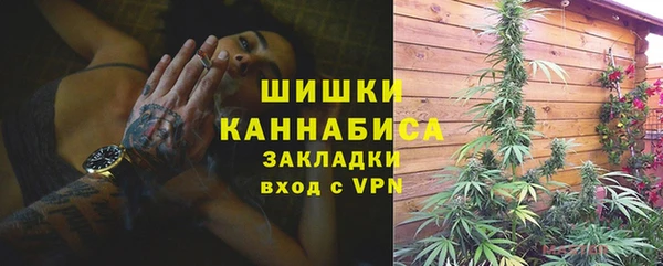 амф Каменногорск