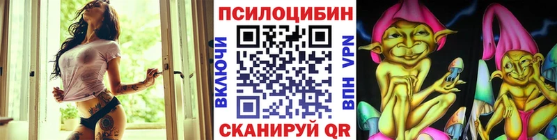 Галлюциногенные грибы Psilocybe  Купить где  Тихвин 